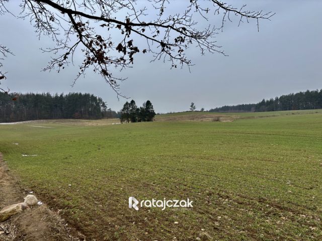 Działka budowlana Gdynia Chwarzno-Wiczlino, ul. Kazimierza Małkowskiego. Zdjęcie 6