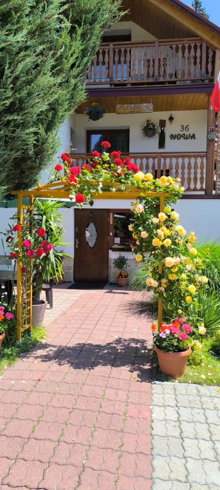 dom wolnostojący, 8 pokoi Muszyna Zazamcze, ul. Nowa. Zdjęcie 4