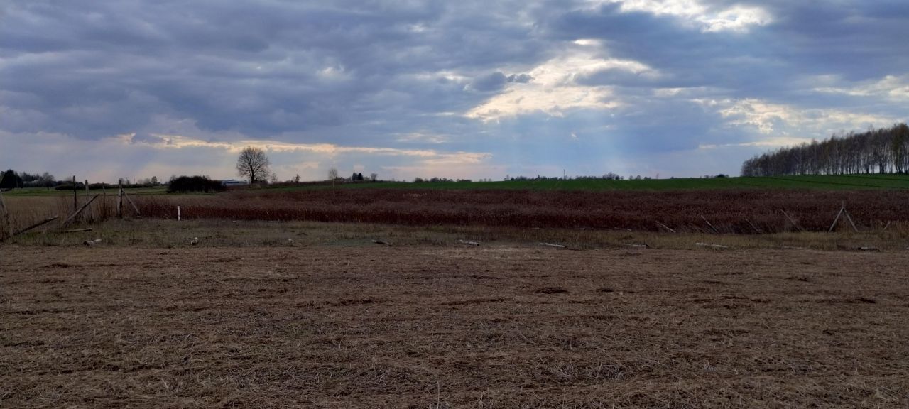 Działka budowlana Swoboda. Zdjęcie 6