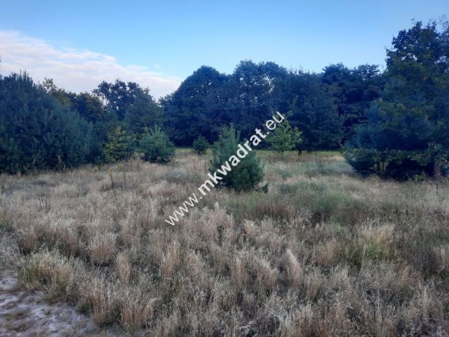 Działka budowlana Pieńki Zarębskie. Zdjęcie 2