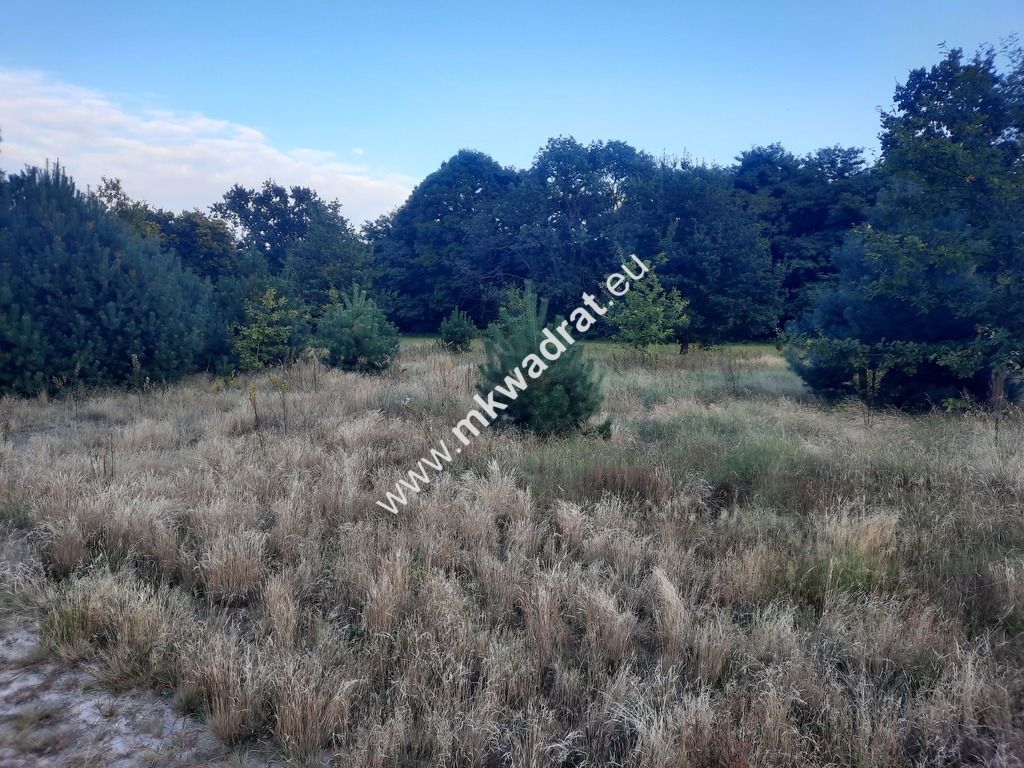 Działka budowlana Pieńki Zarębskie. Zdjęcie 2