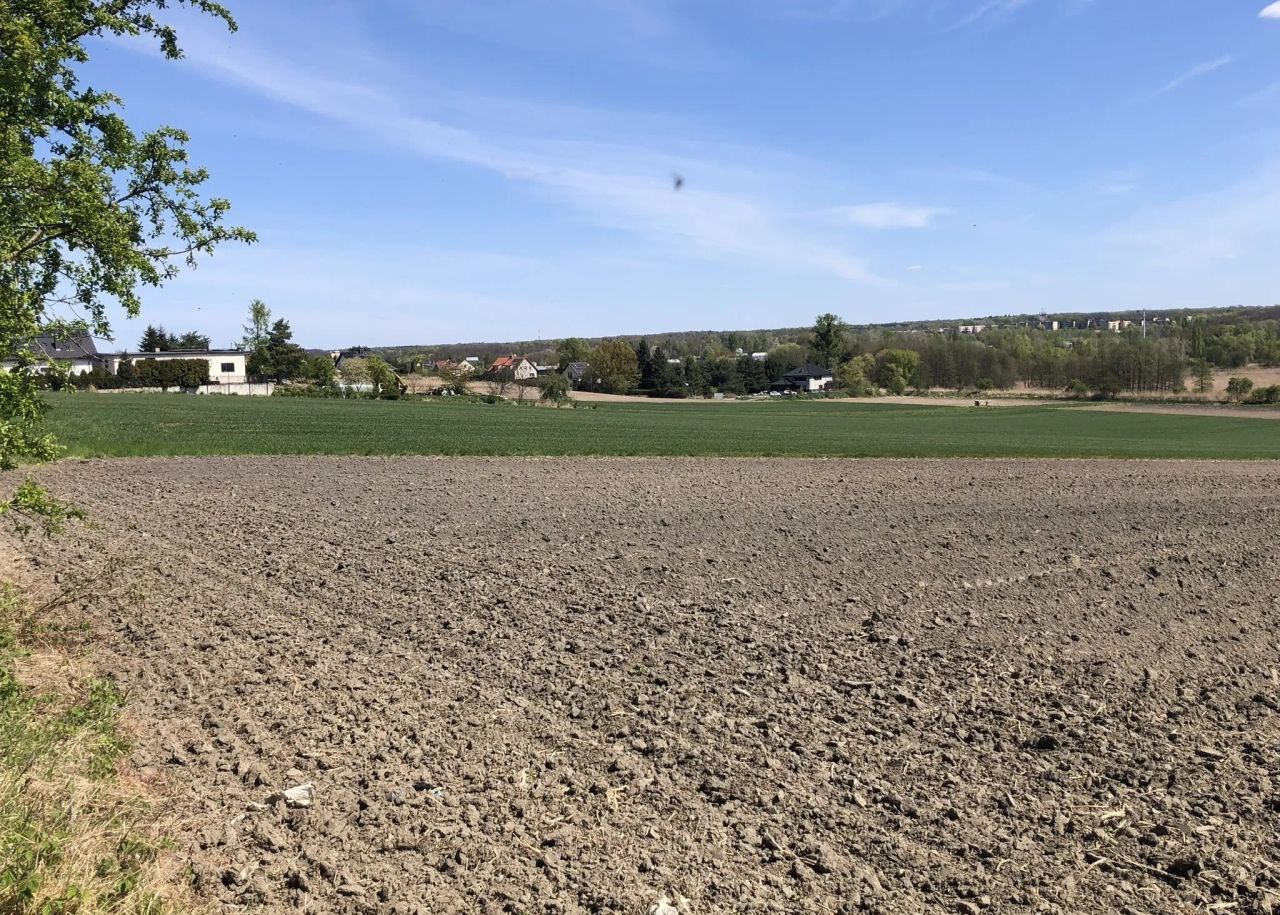 Działka rolno-budowlana Gliwice Łabędy, ul. Starogliwicka. Zdjęcie 3