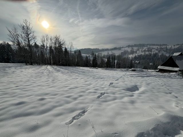 Działka budowlana Groń. Zdjęcie 1