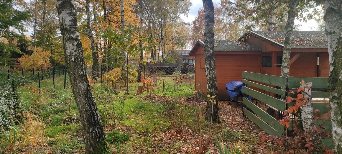 Działka rod Zdzieszowice. Zdjęcie 2