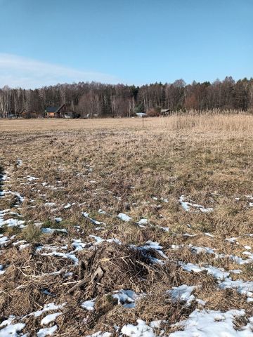 Działka rolna Lejno. Zdjęcie 1