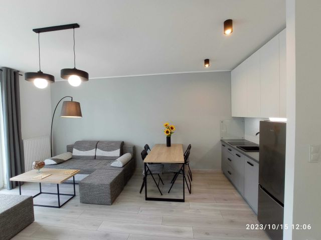 Mieszkanie 1-pokojowe Szczecin Gumieńce, ul. prof. Władysława Grabskiego. Zdjęcie 1