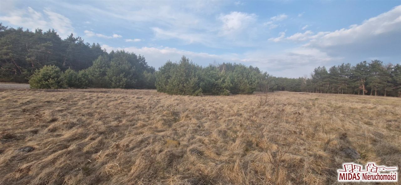 Działka budowlana Kowal. Zdjęcie 2