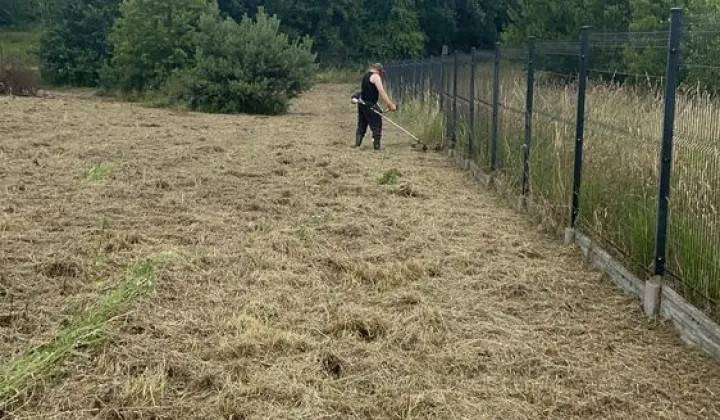 Działka rolno-budowlana Serbów