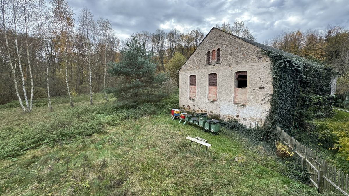 dom wolnostojący, 10 pokoi Czernica. Zdjęcie 9