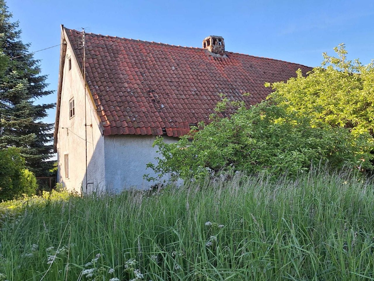 Działka rolno-budowlana Kiwity. Zdjęcie 2