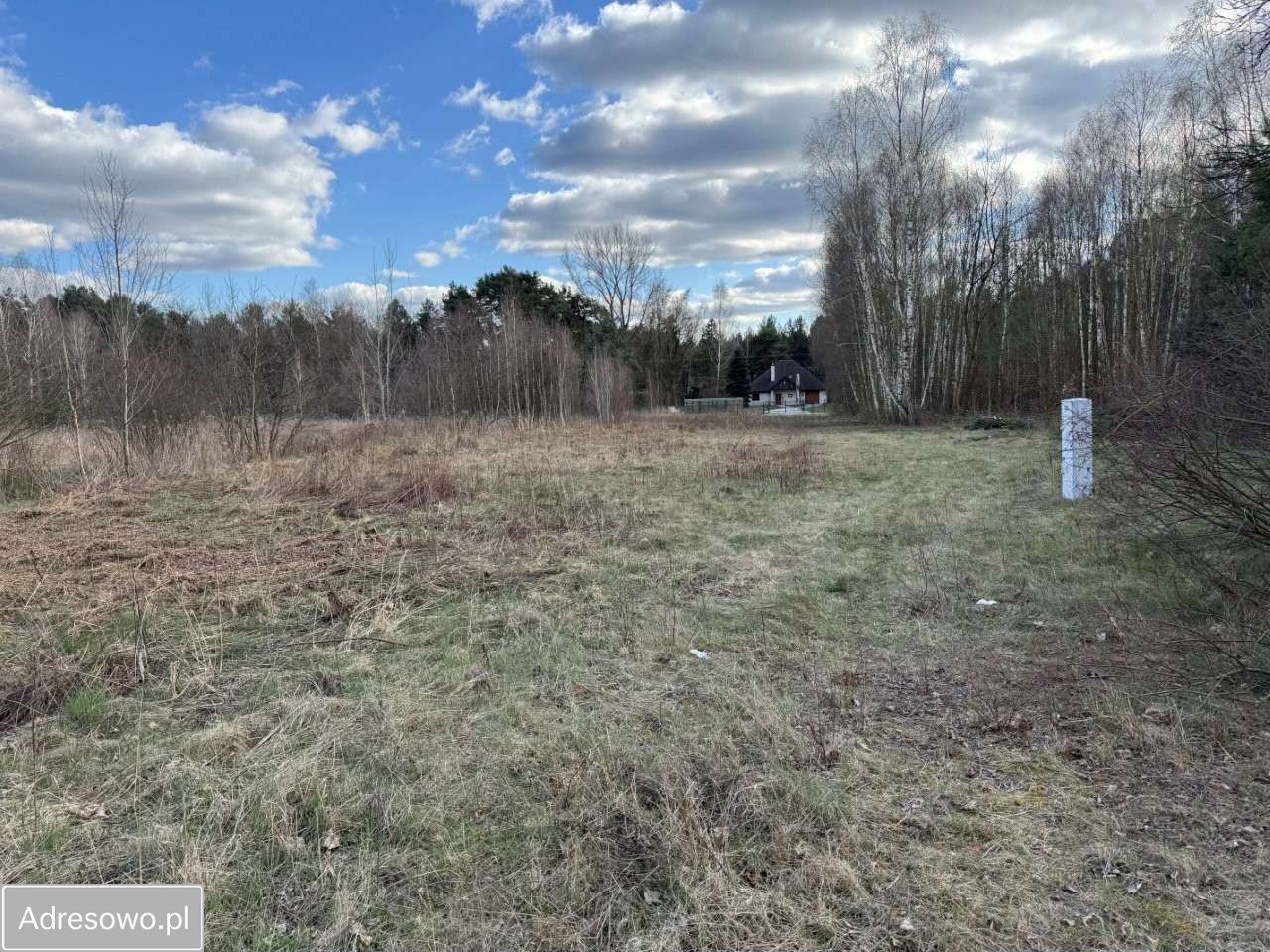 Działka budowlana Młoszów. Zdjęcie 4