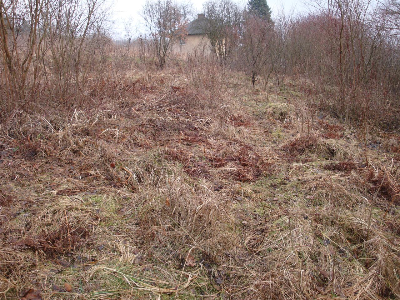 Działka rolno-budowlana Chrzanów Kąty, ul. Śląska. Zdjęcie 6