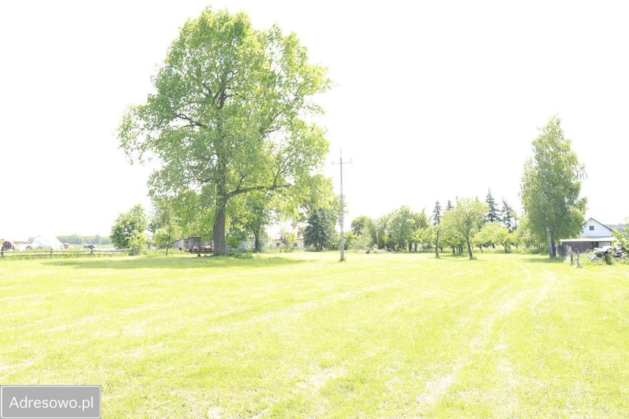 Działka budowlana Łempice. Zdjęcie 3