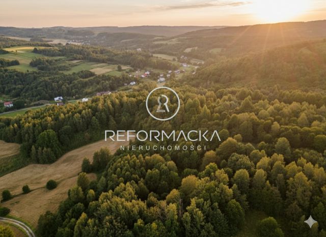 Działka rolna Dubiecko. Zdjęcie 4