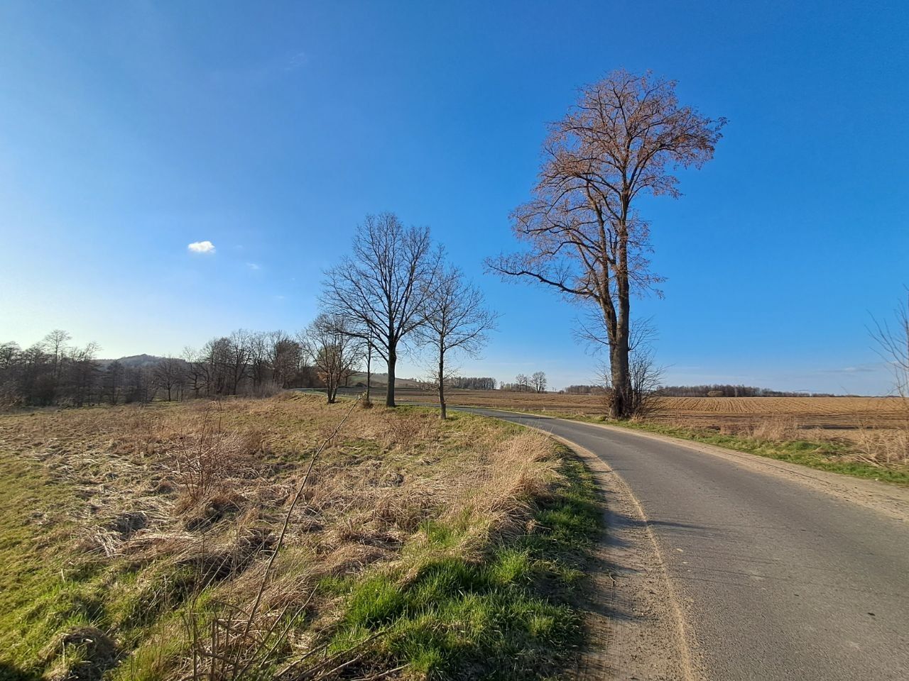 Działka budowlana Młyńsko. Zdjęcie 13