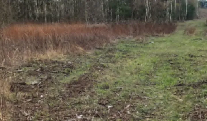 Działka rolna Skierniewice Rawka, ul. Bohaterów Westerplatte