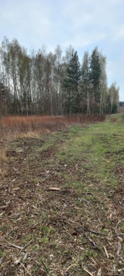 Działka rolna Skierniewice Rawka, ul. Bohaterów Westerplatte. Zdjęcie 1