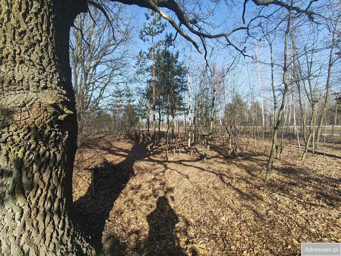 Działka rolna Sulejówek. Zdjęcie 5