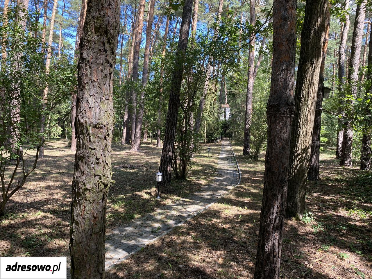 Działka inwestycyjna Podkowa Leśna, ul. Zamkowa. Zdjęcie 6