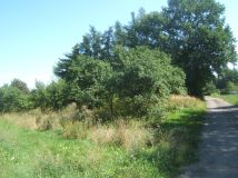 Działka budowlana Zrąb. Zdjęcie 4