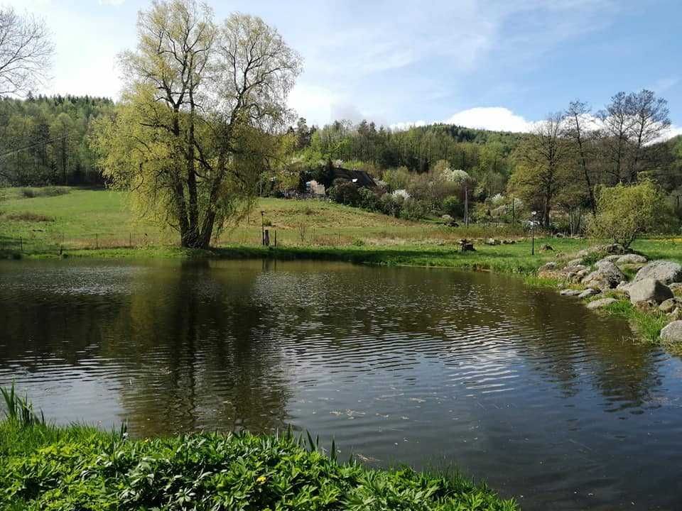 Hotel/pensjonat Zachełmie. Zdjęcie 3