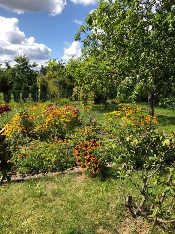 Działka rod Gdynia Oksywie. Zdjęcie 1