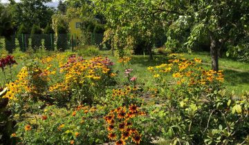 Działka rod Gdynia Oksywie