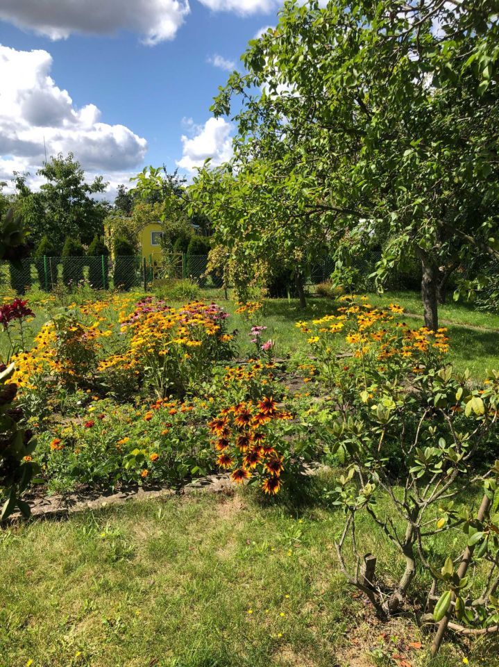 Działka rod Gdynia Oksywie