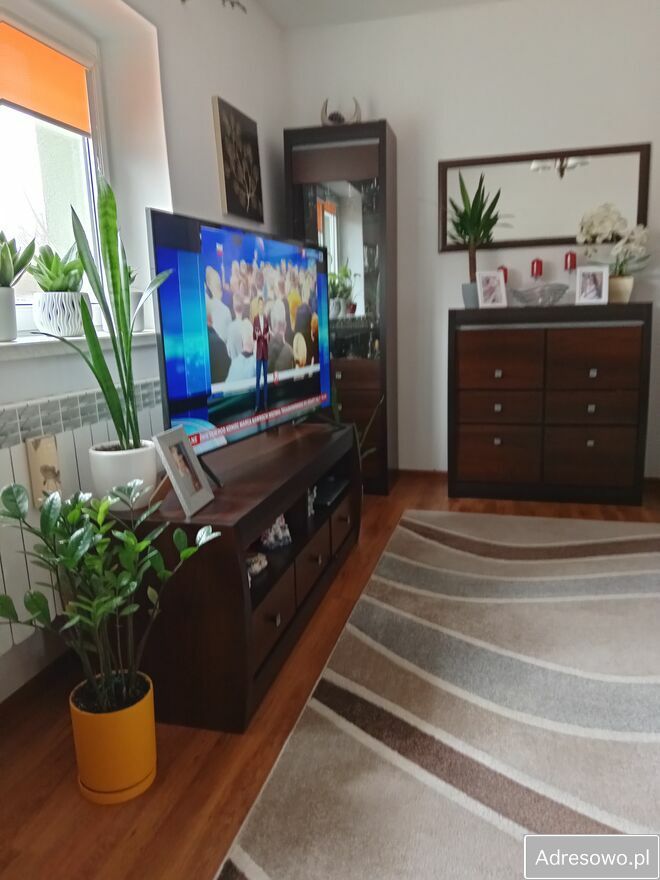 dom wolnostojący, 5 pokoi Pisanica. Zdjęcie 9