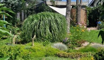 Działka na sprzedaż Toruń  300 m2