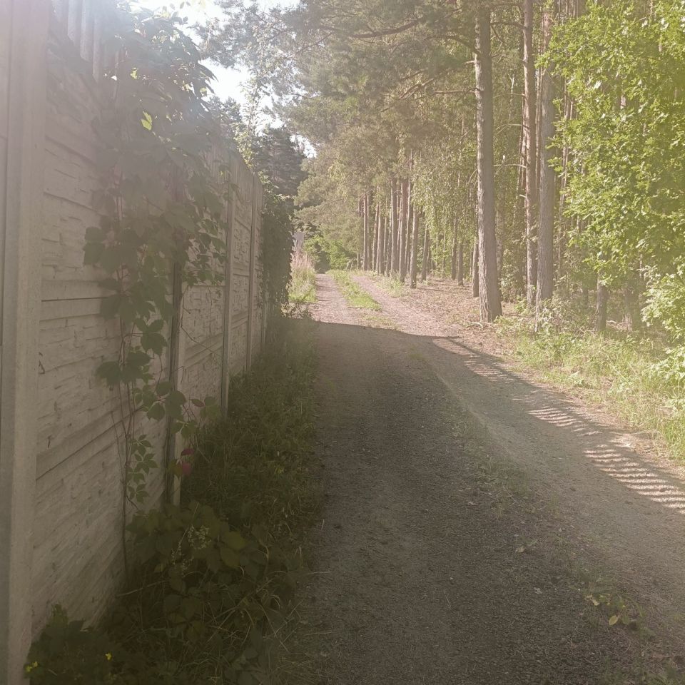 Działka budowlana Wilkanowo. Zdjęcie 3