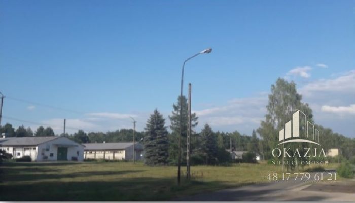 Lokal Wysoka Głogowska. Zdjęcie 5