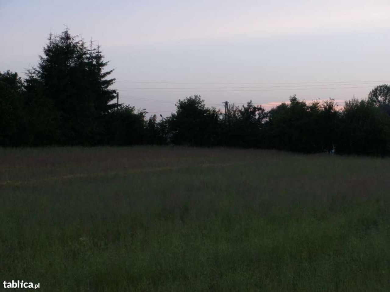 Działka rolna Płouszowice-Kolonia. Zdjęcie 4