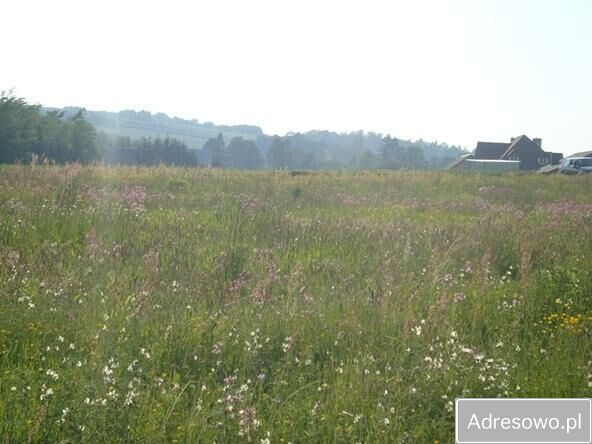 Działka rolna Nozdrzec. Zdjęcie 1