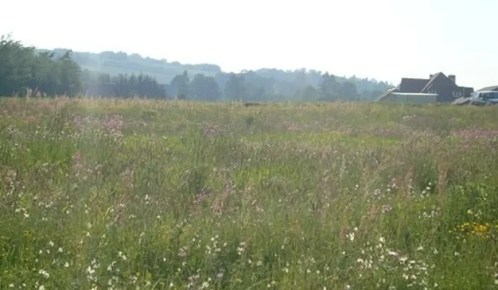 Działka rolna Nozdrzec