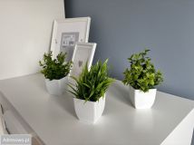 Mieszkanie 2-pokojowe Kościan, os. Piastowskie. Zdjęcie 1