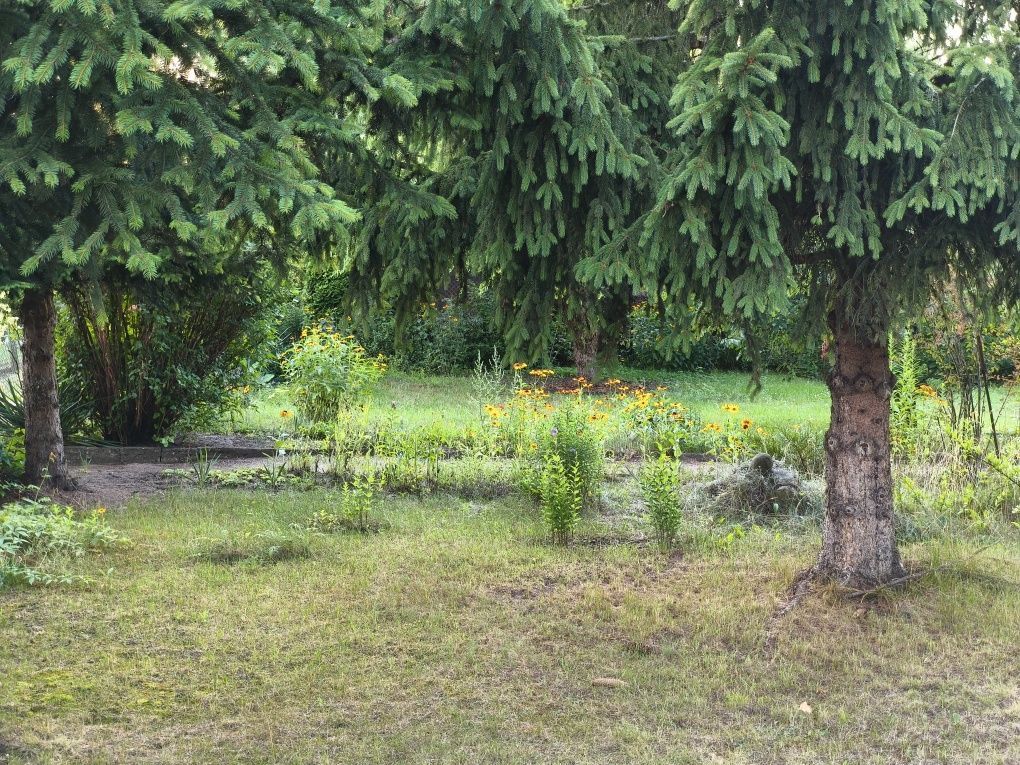 Działka rod Bydgoszcz. Zdjęcie 7