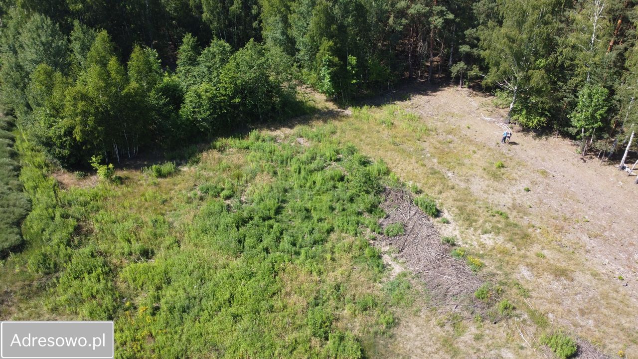 Działka inwestycyjna Wola Karczewska, ul. Rutki. Zdjęcie 7