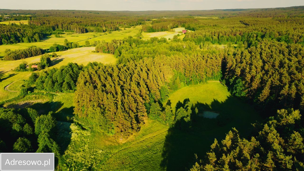 Działka rolno-budowlana Zaborowo. Zdjęcie 9
