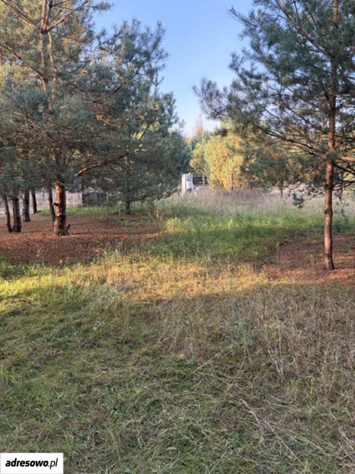 Działka budowlana Zambski Kościelne. Zdjęcie 7