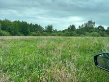 Działka rolna Gołańcz Pomorska. Zdjęcie 4