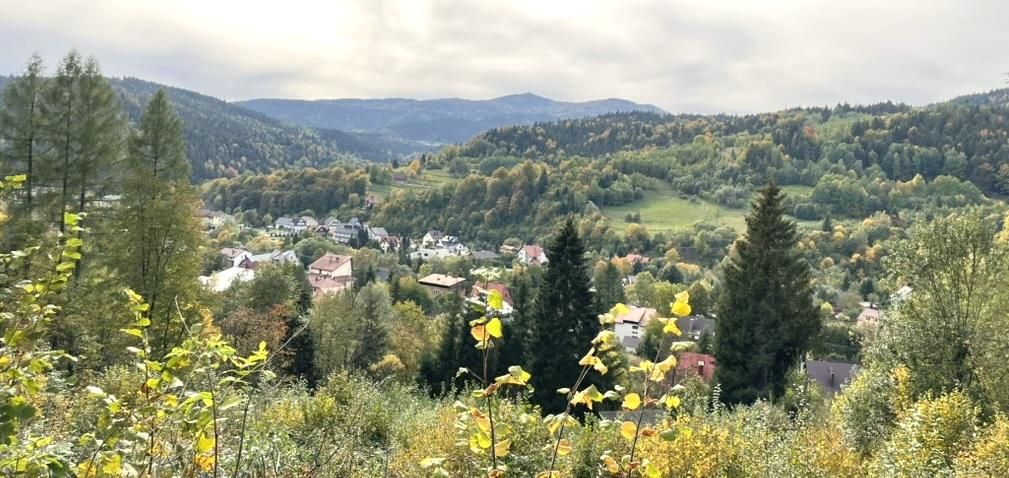 Działka budowlana Szczawa. Zdjęcie 10