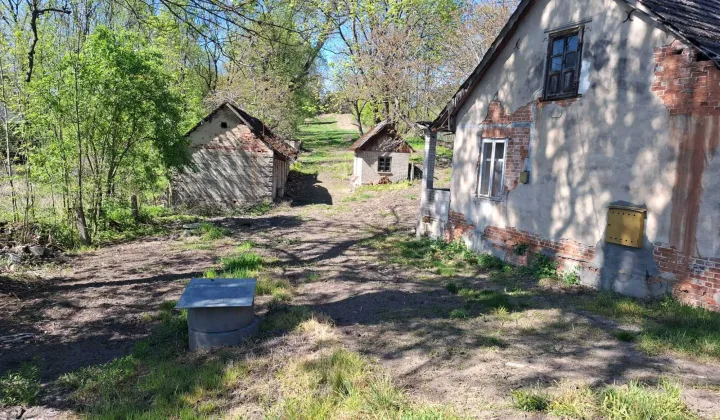 Działka siedliskowa Kustrawa