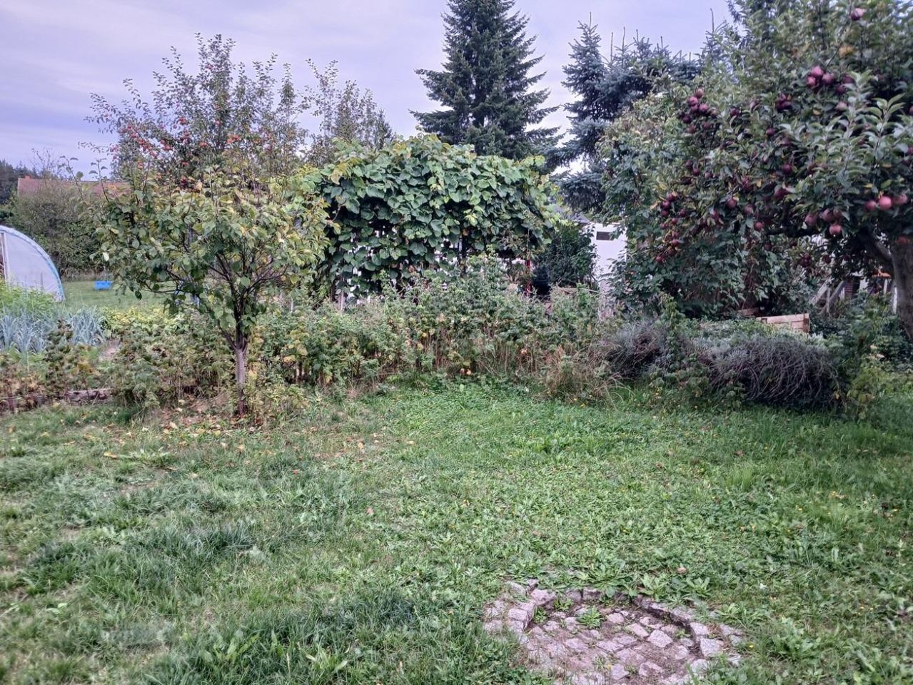 Działka rod Lubin, ul. Józefa Piłsudskiego. Zdjęcie 7