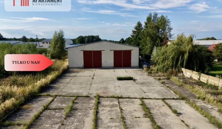 Lokal Królewska Wola