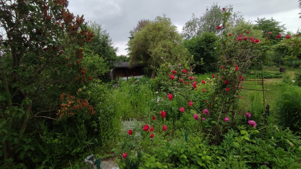 Działka rod Lublin, ul. Działkowa. Zdjęcie 8