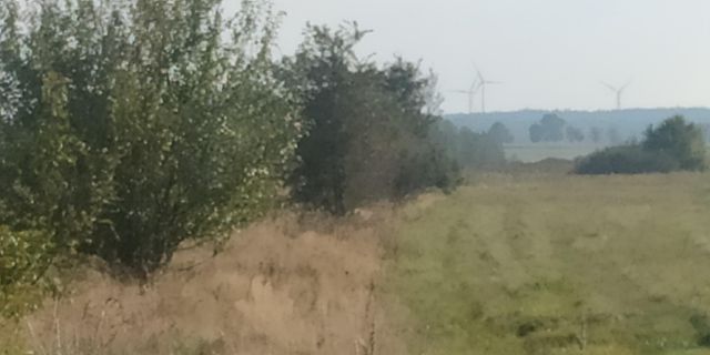 Działka inwestycyjna Jezierzany, ul. Zbożowa. Zdjęcie 10