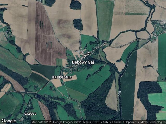 Działka siedliskowa Dębowy Gaj. Zdjęcie 1