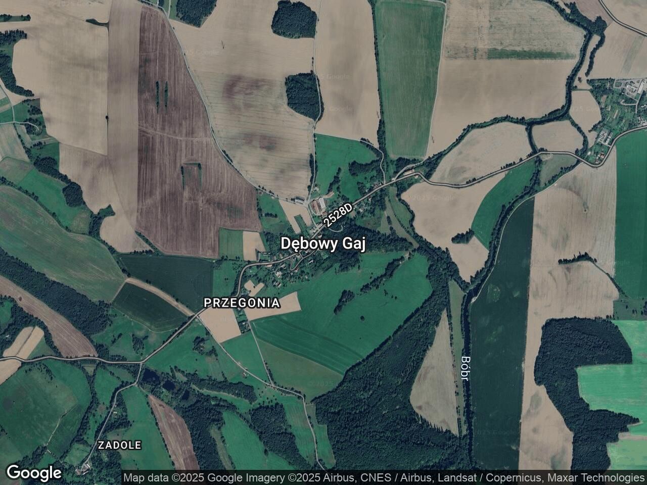 Działka siedliskowa Dębowy Gaj