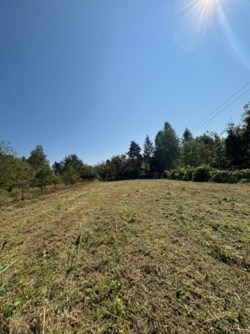 Działka budowlana Kryspinów, ul. Leśna. Zdjęcie 1